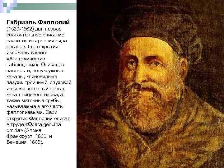 Габриэль Фаллопий (1523 -1562) дал первое обстоятельное описание развития и строения ряда органов. Его