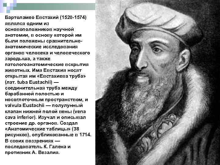 Бартоламео Евстахий (1520 -1574) являлся одним из основоположников научной анатомии, в основу которой им