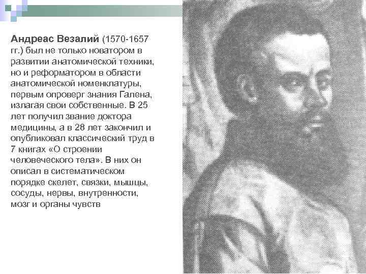 Андреас Везалий (1570 -1657 гг. ) был не только новатором в развитии анатомической техники,