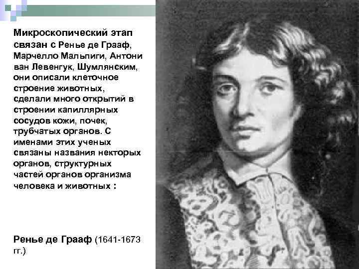 Р де. Ренье Грааф. Ренье де Граф. Рене де Грааф вклад в медицину. Анатом Грааф.