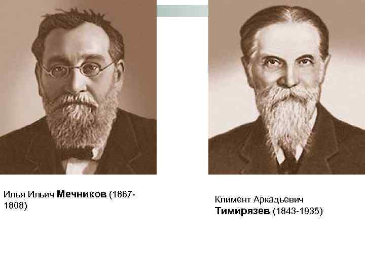 Илья Ильич Мечников (18671808) Климент Аркадьевич Тимирязев (1843 -1935) 