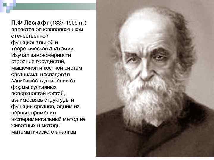 П. Ф Лесгафт (1837 -1909 гг. ) является основоположником отечественной функциональной и теоретической анатомии.