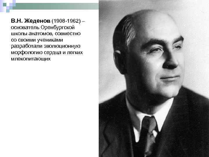 В. Н. Жеденов (1908 -1962) – основатель Оренбургской школы анатомов, совместно со своими учениками