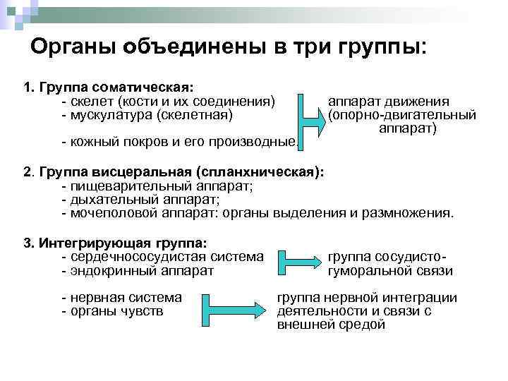 Органы объединения. Органы объединены в. Органы объединены в например. По какому принципу органы объединяют в системы. Почему органы человека объединены в системы.