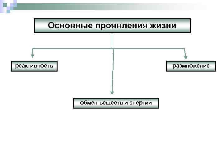 Основные проявления жизни реактивность размножение обмен веществ и энергии 