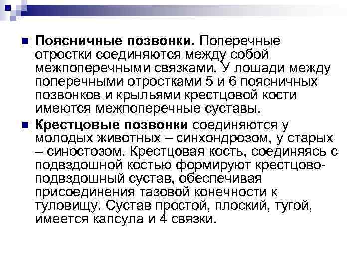 n n Поясничные позвонки. Поперечные отростки соединяются между собой межпоперечными связками. У лошади между