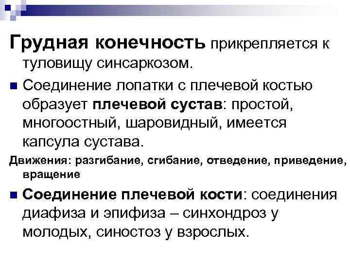 Грудная конечность прикрепляется к туловищу синсаркозом. n Соединение лопатки с плечевой костью образует плечевой