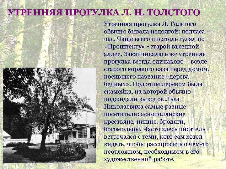 УТРЕННЯЯ ПРОГУЛКА Л. Н. ТОЛСТОГО Утренняя прогулка Л. Толстого обычно бывала недолгой: полчаса –