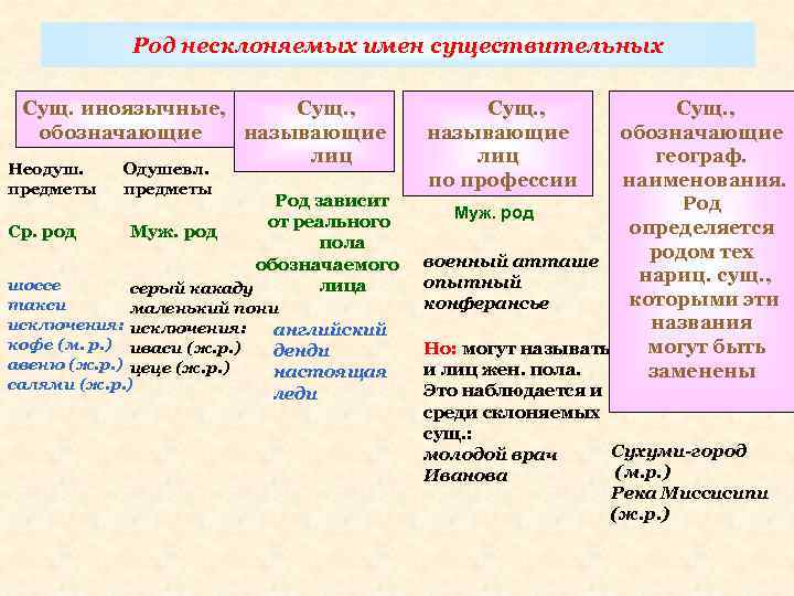 Род несклоняемых имен существительных Сущ. иноязычные, Сущ. , обозначающие называющие лиц Неодуш. предметы Ср.