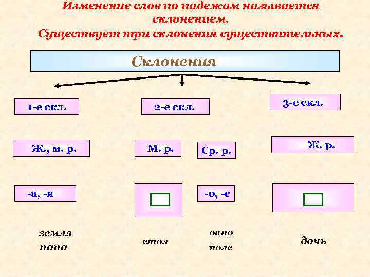 Изменение слов по падежам называется склонением. Существует три склонения существительных. Склонения 1 -е скл.