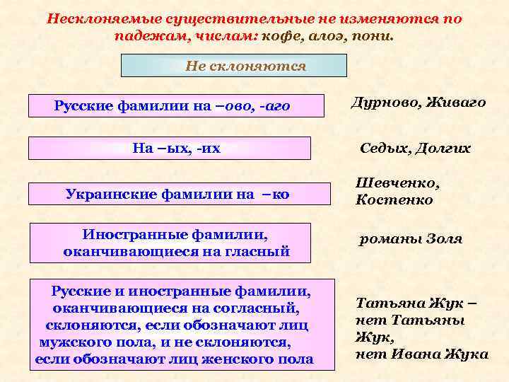 Несклоняемые существительные не изменяются по падежам, числам: кофе, алоэ, пони. Не склоняются Русские фамилии