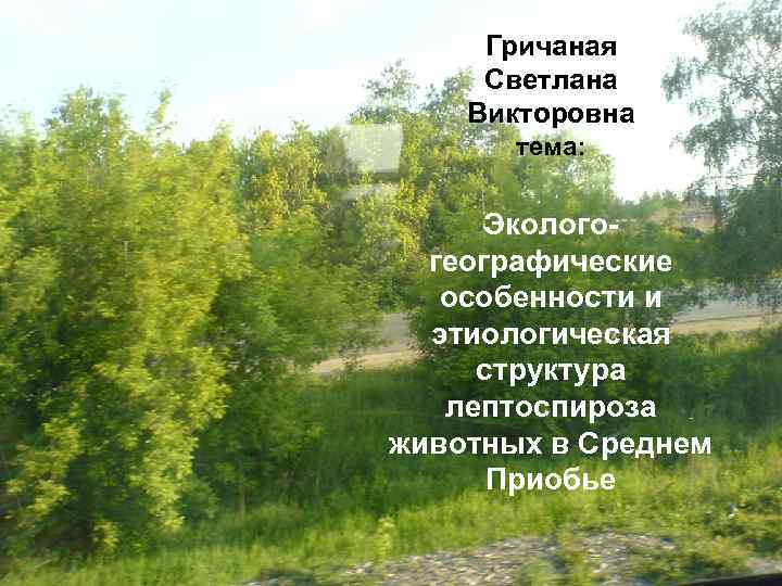 Гричаная Светлана Викторовна тема: Экологогеографические особенности и этиологическая структура лептоспироза животных в Среднем Приобье