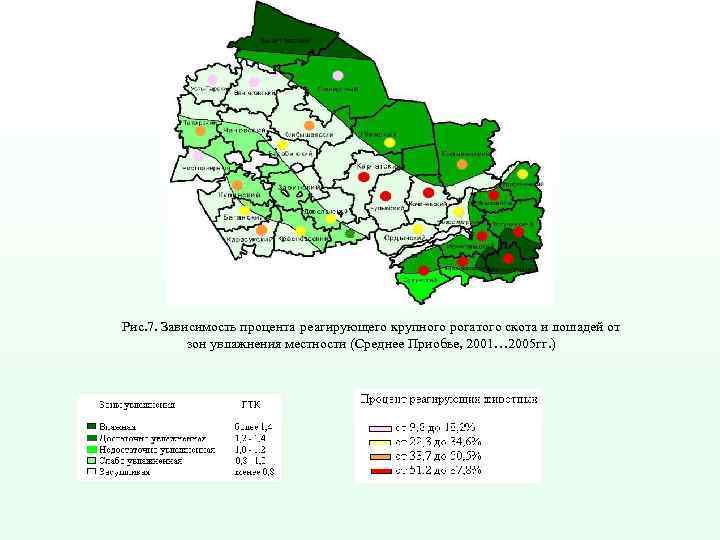 Рис. 7. Зависимость процента реагирующего крупного рогатого скота и лошадей от зон увлажнения местности