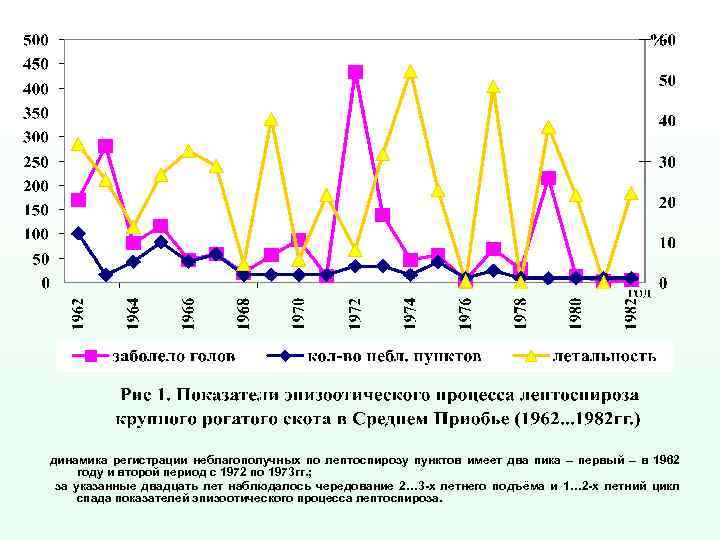 динамика регистрации неблагополучных по лептоспирозу пунктов имеет два пика – первый – в 1962