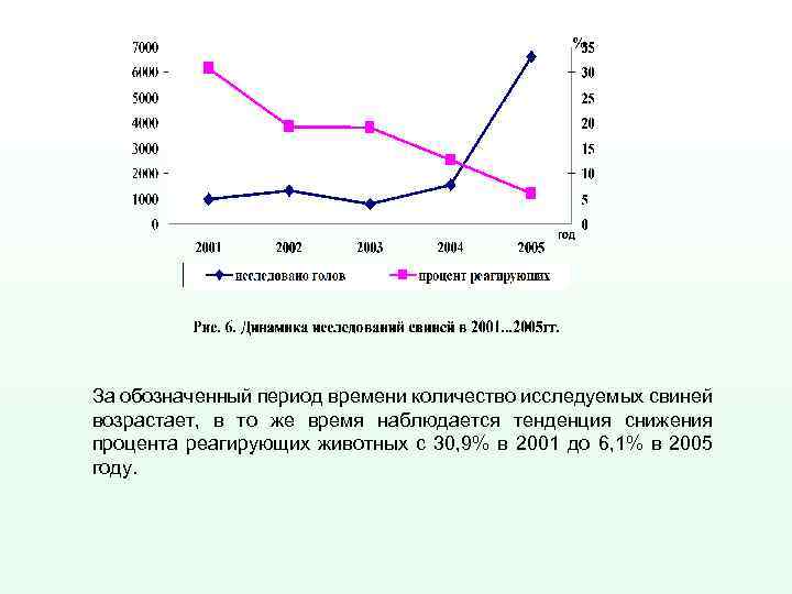 За обозначенный период времени количество исследуемых свиней возрастает, в то же время наблюдается тенденция