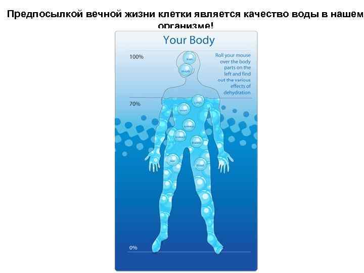 Предпосылкой вечной жизни клетки является качество воды в нашем организме! 