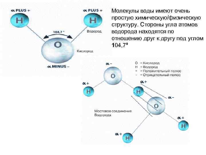 Молекулы воды имеют очень простую химическую/физическую структуру. Стороны угла атомов водорода находятся по отношению