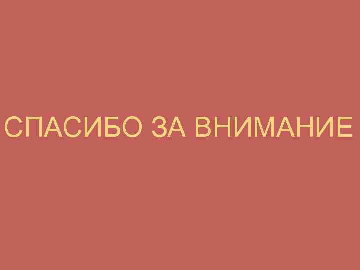 СПАСИБО ЗА ВНИМАНИЕ 