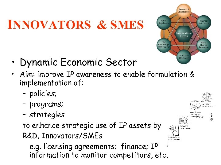 INNOVATORS & SMES • Dynamic Economic Sector • Aim: improve IP awareness to enable