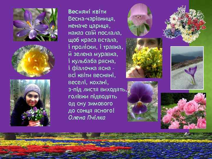 Весняні квіти Весна-чарівниця, неначе цариця, наказ свій послала, щоб краса встала, і проліски, і