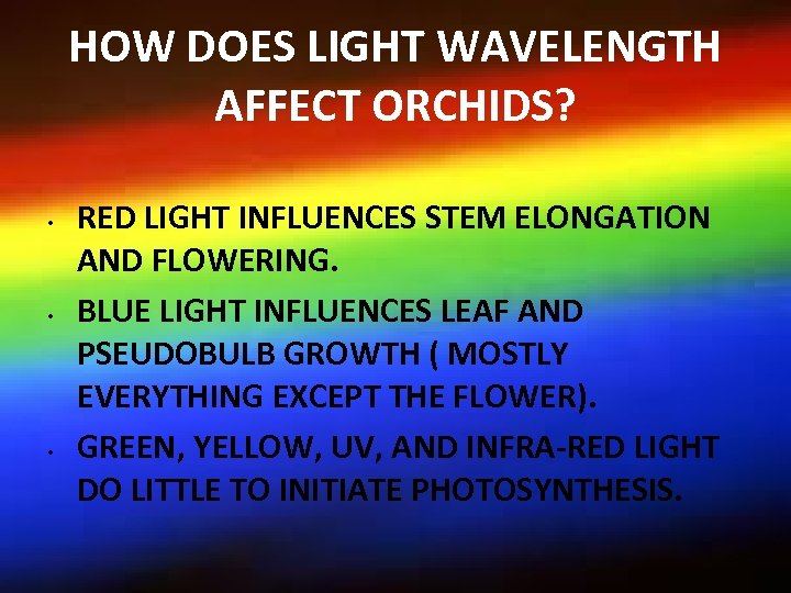 HOW DOES LIGHT WAVELENGTH AFFECT ORCHIDS? • • • RED LIGHT INFLUENCES STEM ELONGATION