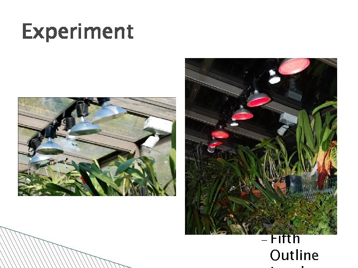 Experiment Click to edit the outline text format Second Outline Level Third Outline Level