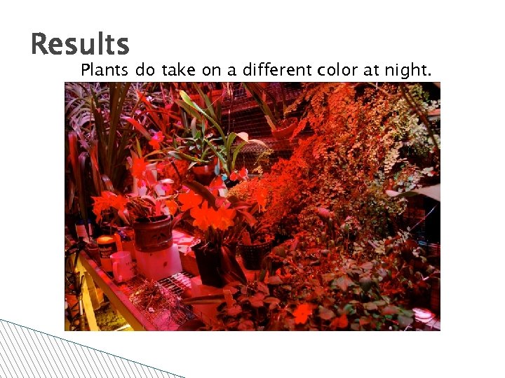 Results Plants do take on a different color at night. 