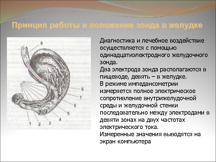 Воздействие осуществляется. Максимальное нахождение зонда в желудке. Признаки нахождения зонда в желудке. Признаки нахождения зонда в желудке а б. Как понять что зонд находится в желудке.