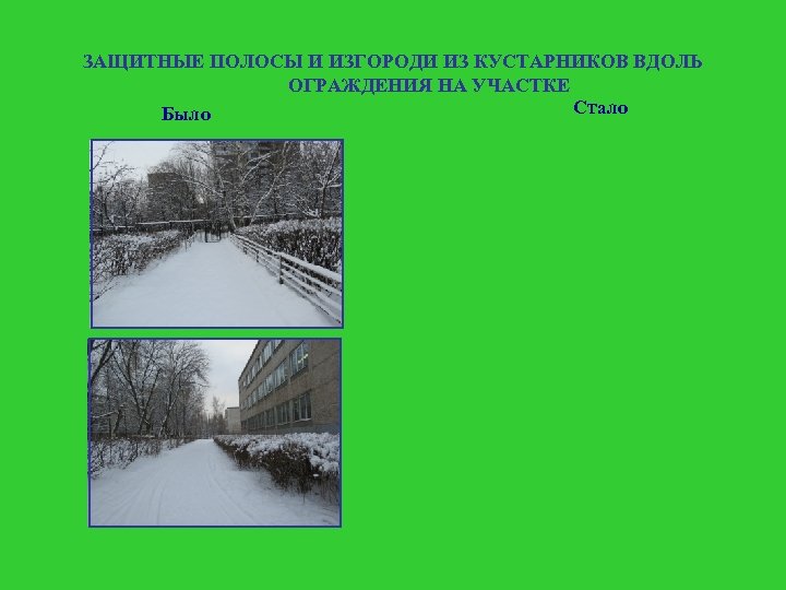 ЗАЩИТНЫЕ ПОЛОСЫ И ИЗГОРОДИ ИЗ КУСТАРНИКОВ ВДОЛЬ ОГРАЖДЕНИЯ НА УЧАСТКЕ Стало Было 