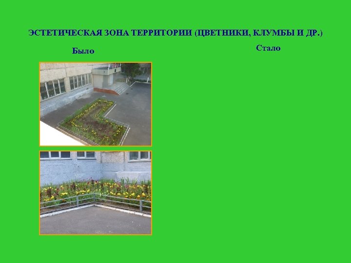 ЭСТЕТИЧЕСКАЯ ЗОНА ТЕРРИТОРИИ (ЦВЕТНИКИ, КЛУМБЫ И ДР. ) Было Стало 