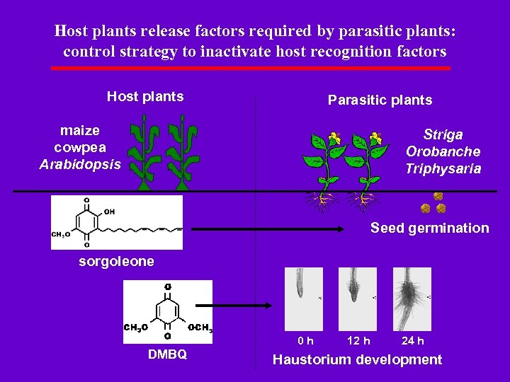 Host plants release factors required by parasitic plants: control strategy to inactivate host recognition