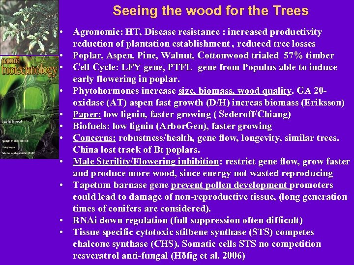 Seeing the wood for the Trees • Agronomic: HT, Disease resistance : increased productivity