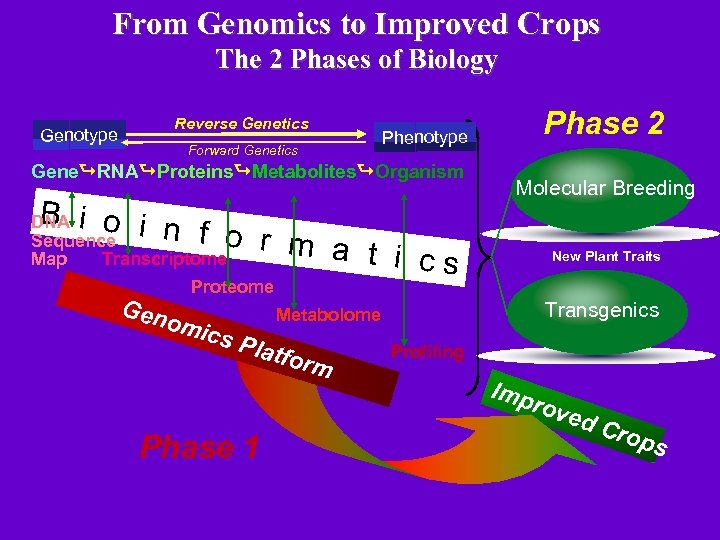 From Genomics to Improved Crops The 2 Phases of Biology Reverse Genetics Genotype Forward