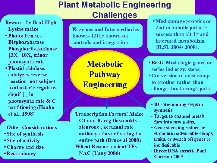 Beware the flux! High Lysine maize • Photo: Fruc-1, 6 Bisphosphatase Phosphoribulokinase ↓ 3