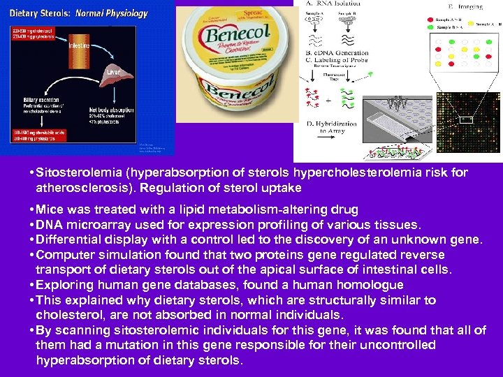  • Sitosterolemia (hyperabsorption of sterols hypercholesterolemia risk for atherosclerosis). Regulation of sterol uptake