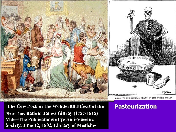  The Cow Pock or the Wonderful Effects of the New Inoculation! James Gillray