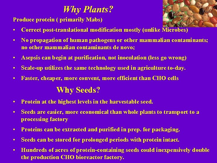 Why Plants? Produce protein ( primarily Mabs) • Correct post-translational modification mostly (unlike Microbes)