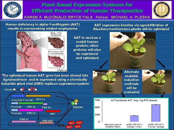 Plant Based Expression Systems for Efficient Production of Human Therapeutics KAREN A. Mc. DONALD/