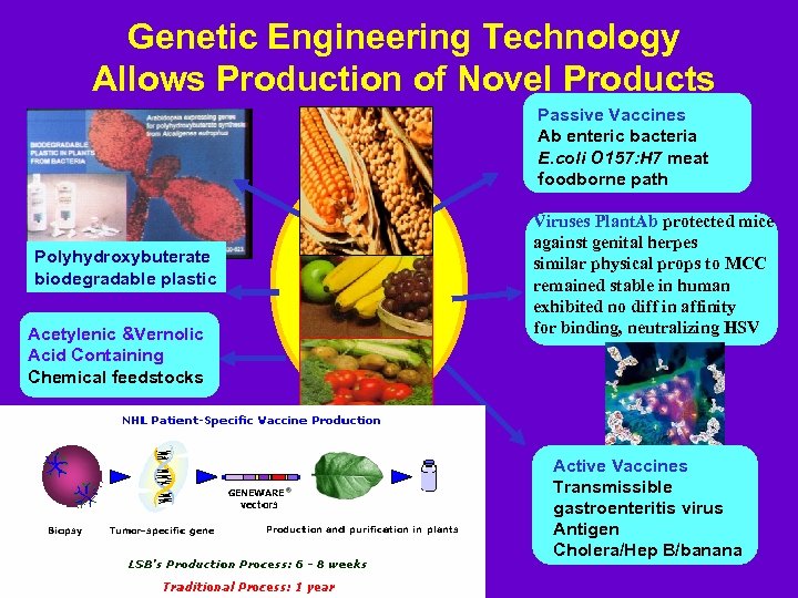 Genetic Engineering Technology Allows Production of Novel Products Passive Vaccines Ab enteric bacteria E.