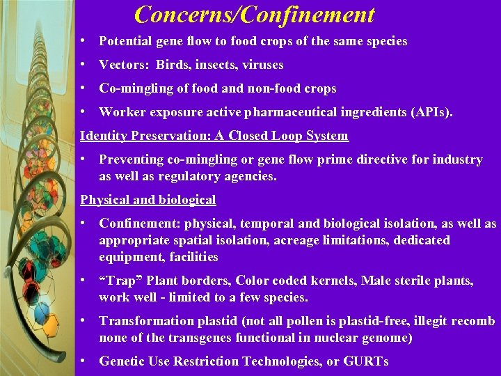 Concerns/Confinement • Potential gene flow to food crops of the same species • Vectors: