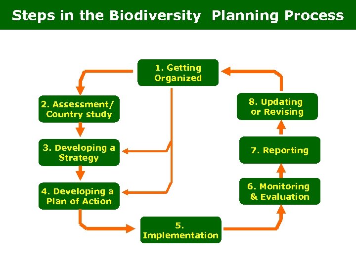 Steps in the Biodiversity Planning Process 1. Getting Organized 2. Assessment/ Country study 8.