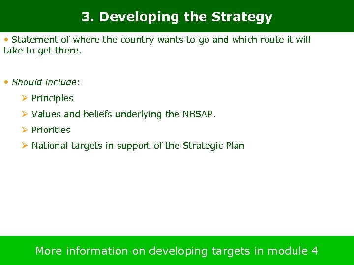 3. Developing the Strategy • Statement of where the country wants to go and