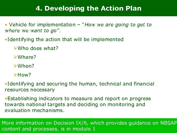 4. Developing the Action Plan • Vehicle for implementation – “How we are going