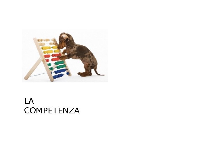 LA COMPETENZA 