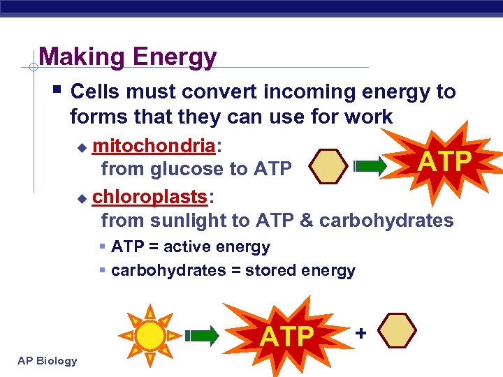 Making Energy § Cells must convert incoming energy to forms that they can use