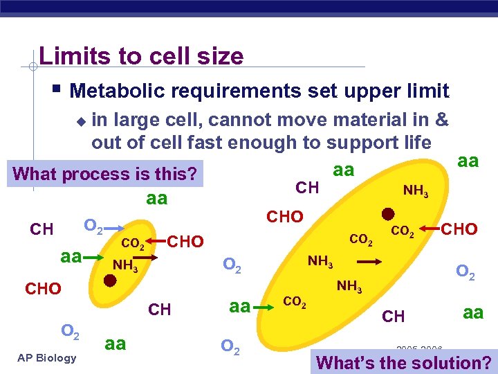 Limits to cell size § Metabolic requirements set upper limit in large cell, cannot