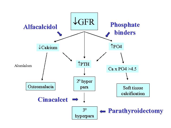 Alfacalcidol GFR PO 4 Calcium PTH Aluminium Osteomalacia Phosphate binders 2º hyper para Cinacalcet