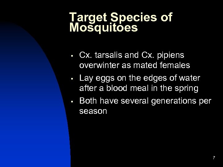 Target Species of Mosquitoes § § § Cx. tarsalis and Cx. pipiens overwinter as
