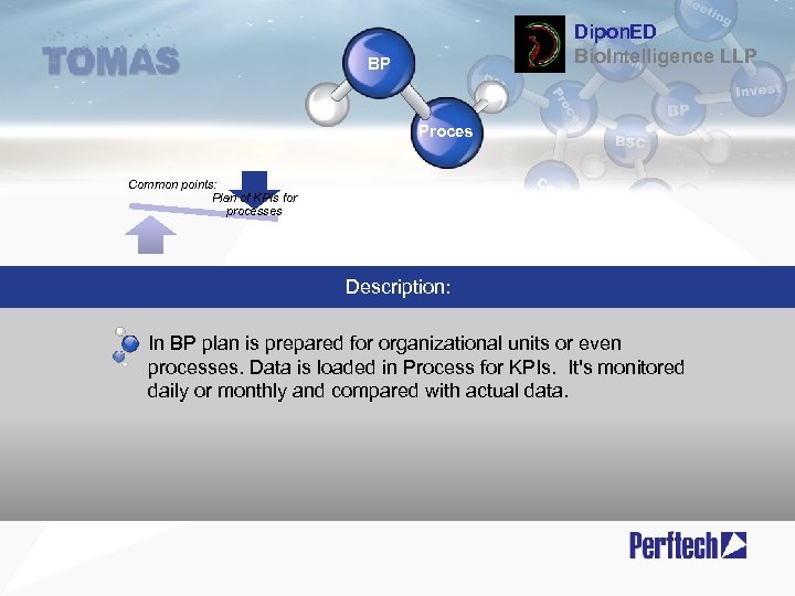 Dipon. ED Bio. Intelligence LLP BP Proces Common points: Plan of KPIs for processes