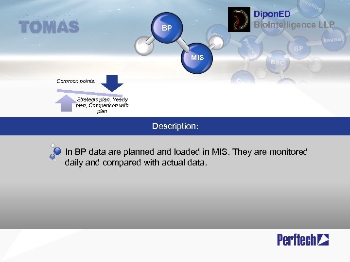 Dipon. ED Bio. Intelligence LLP BP MIS Common points: Strategic plan, Yearly plan, Comparison